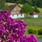 Schreinerhaeusle Naehe Titisee Agroturismo