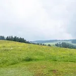 Schreinerhaeusle Naehe Titisee Agroturismo *
