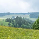 Schreinerhaeusle Naehe Titisee *