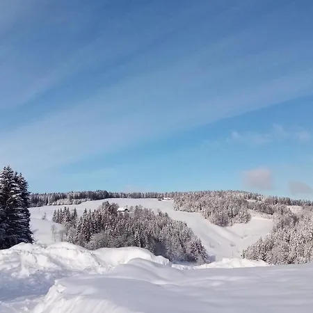 Çiftlik konaklama Schreinerhaeusle Naehe Titisee *