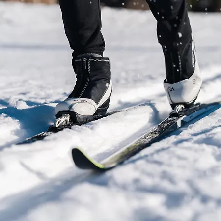 Çiftlik konaklama Schreinerhaeusle Naehe Titisee Himmelreich