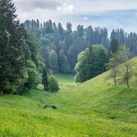 مزرعة للإقامة Schreinerhaeusle Naehe Titisee *
