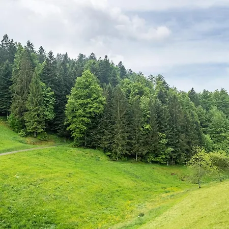 Schreinerhaeusle Naehe Titisee Himmelreich
