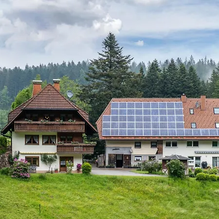 Schreinerhaeusle Naehe Titisee مزرعة للإقامة
