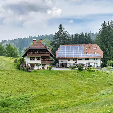 Çiftlik konaklama Schreinerhaeusle Naehe Titisee *