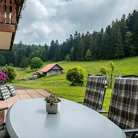 Schreinerhaeusle Naehe Titisee Çiftlik konaklama Himmelreich