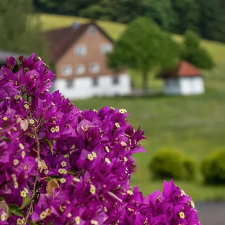 Schreinerhaeusle Naehe Titisee Himmelreich