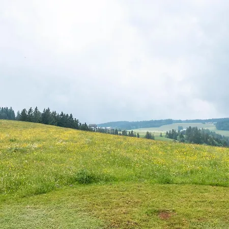 Schreinerhaeusle Naehe Titisee *