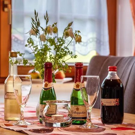 Schreinerhaeusle Naehe Titisee Çiftlik konaklama