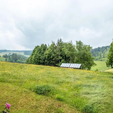 Schreinerhaeusle Naehe Titisee * Himmelreich