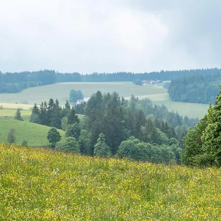 Schreinerhaeusle Naehe Titisee