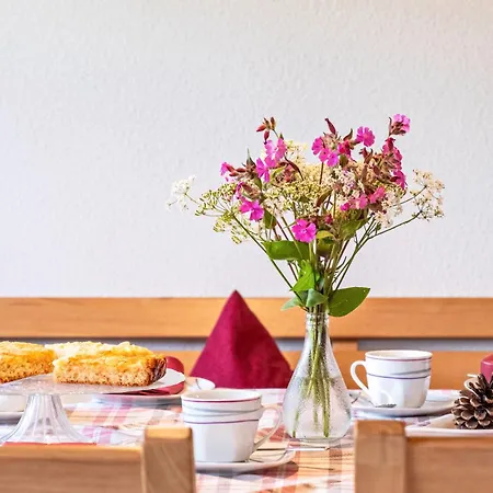 Schreinerhaeusle Naehe Titisee *