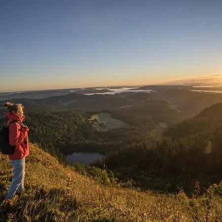 Schreinerhaeusle Naehe Titisee