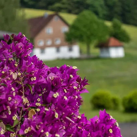 Schreinerhaeusle Naehe Titisee 팜스테이