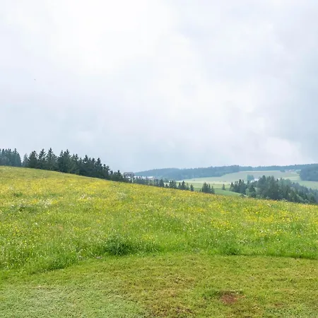Schreinerhaeusle Naehe Titisee 팜스테이 *