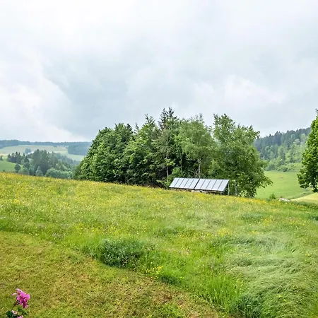 Schreinerhaeusle Naehe Titisee Himmelreich
